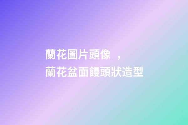 蘭花圖片頭像，蘭花盆面饅頭狀造型-第1張-觀點-玄機派